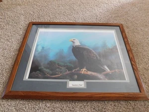 25-1051 America's Pride von Leo Stans Weißkopfseeadler gerahmter Druck Sammlerstück Kunst - Bild 1 von 8