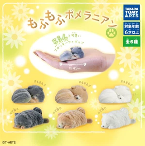 Takara Tomy Gashapon New - Fluffy Pomeranian (6 sets) - Picture 1 of 2