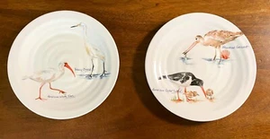 Pier 1 Audobon Ufer Vögel 8 3/4" Salat Dessert Teller Paar Reiher Ibis Godwit - Bild 1 von 6
