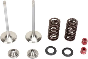 Stainless Exhaust Valve and Spring Kit Moose M80-80960 - Picture 1 of 1