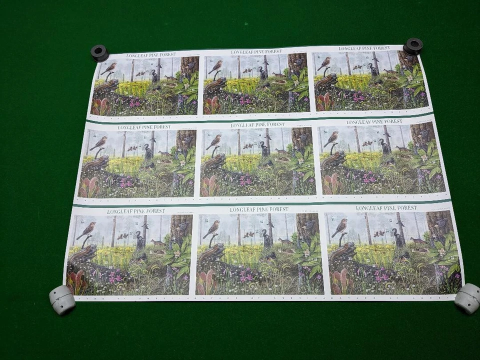 US Scott #3611, Longleaf Pine Forest, Uncut Press Sheet, Mint - Image 1 of 1