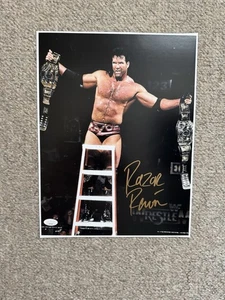 Razor Ramon Signed 11x14 Photo Scott Hall Autographed JSA COA Wrestling WWF WWE - Picture 1 of 2