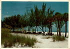 Vintage Coquina Beach Postcard with Sea Oats and Shade Trees