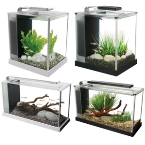 Fluval Spec Aquarium Gloss Black or White LED Light HAGEN Fish Tank 10L or 19L - Picture 1 of 26