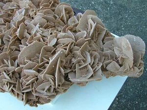 Sandrose Wüstenrose 65 x 36 x 15 cm Unikat Tunesien Sahara Rose ~ 20 KG - Bild 1 von 14