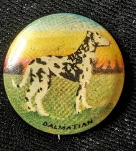 Vintage 1930s Dalmatian Dog Pin Back Geraghty & Company  1 Pin From A Set Of 35 - Picture 1 of 3