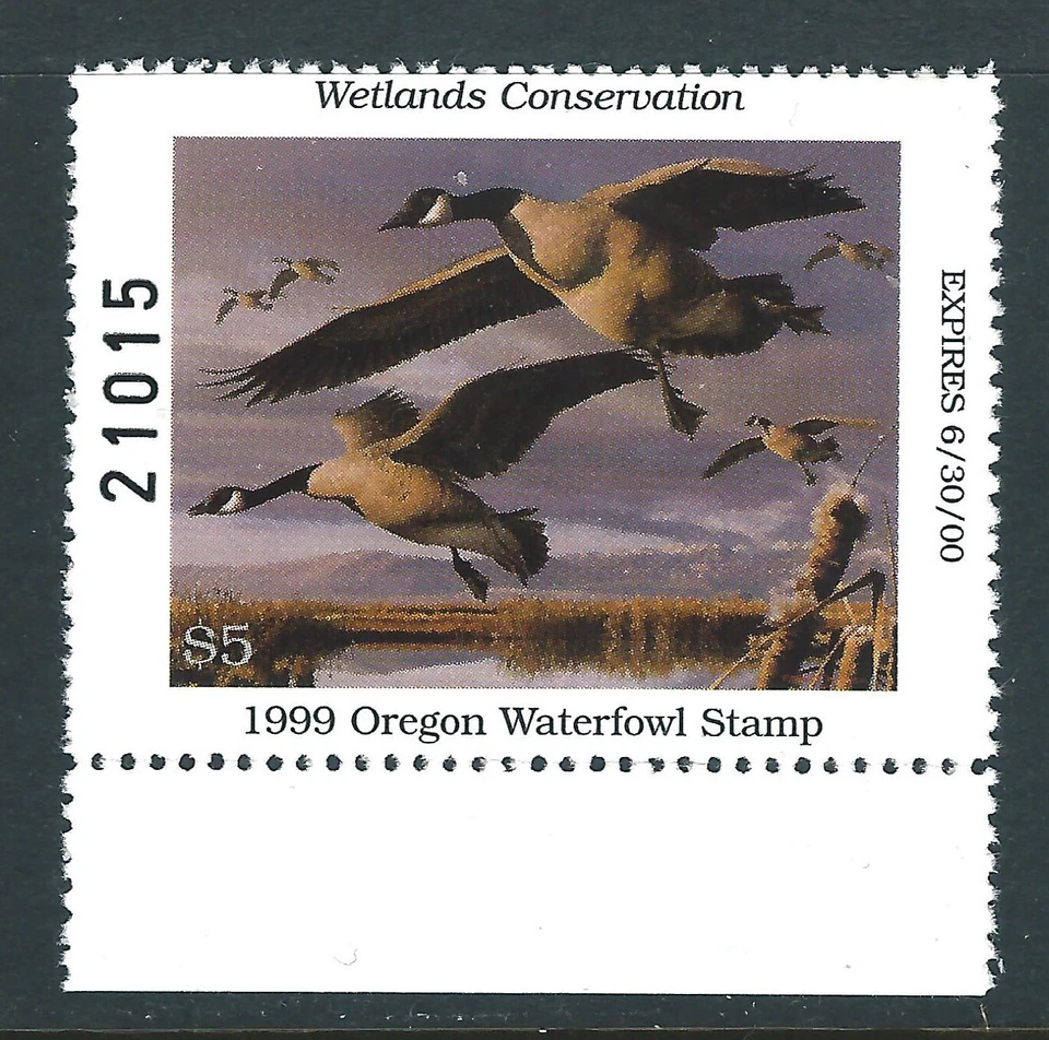 Bigjake: OR22, $5.00 Canada Geese, 1999 Oregon  - Image 1 of 1