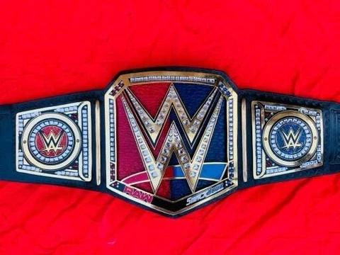 Smackdown Vs Raw Wrestling Championship Leather Belt Adult Size Cover
