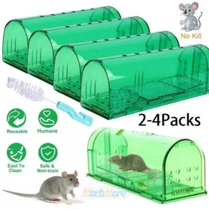 2/4/6 Humane Live Mouse Traps Catch Mice no kill Reusable Small Mice Trap device - Picture 1 of 18