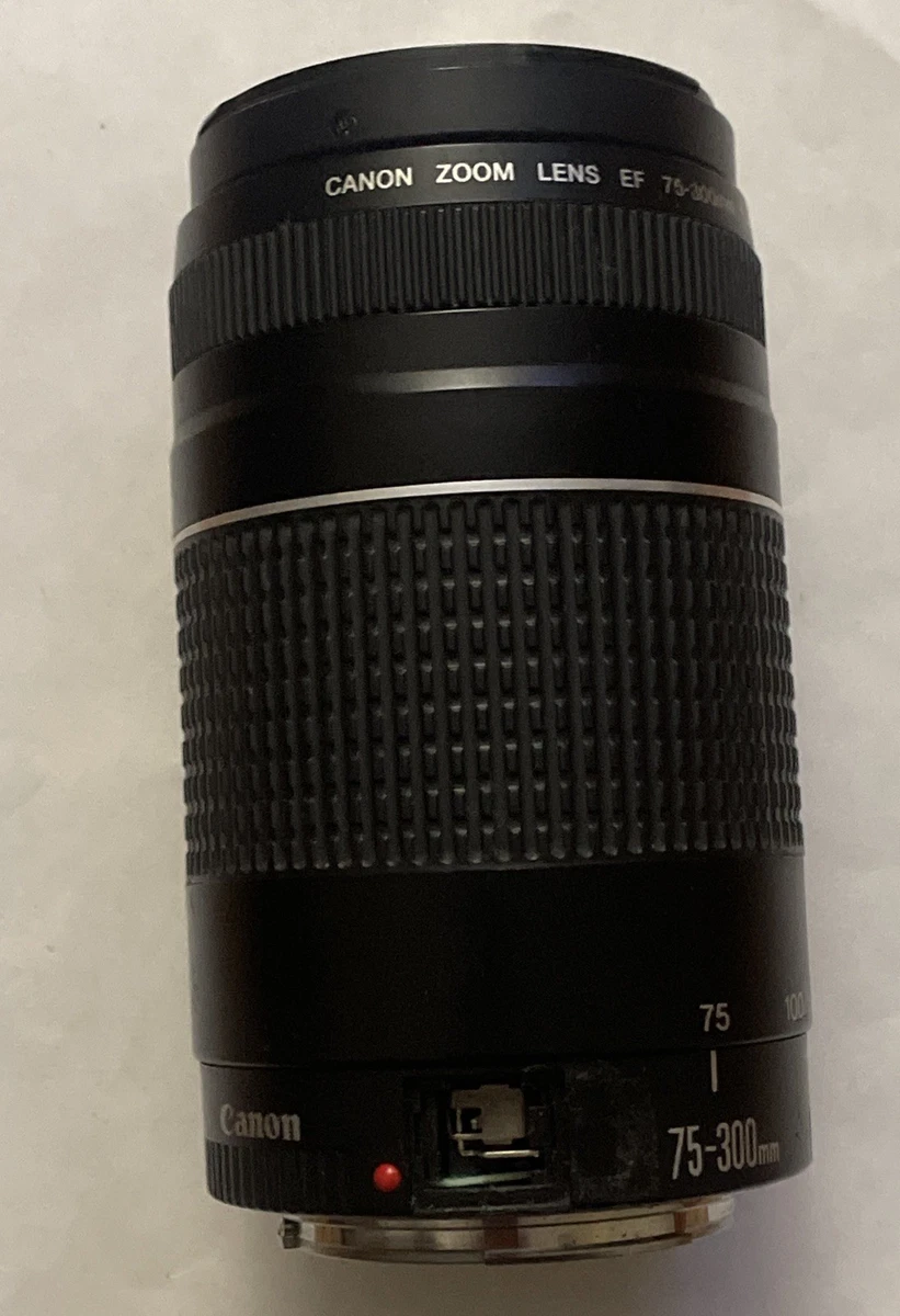 ①付き28日限定お値下げ♪Canon EF 75-300mm IS USM ①付き28日限定お値下げ♪Canon EF 75-300mm IS USM