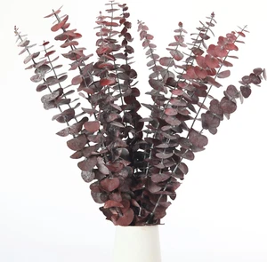 16 Pcs Dried Eucalyptus Stems, 17'' Natural Fresh Eucalyptus Leaves Branches Han - Picture 1 of 7