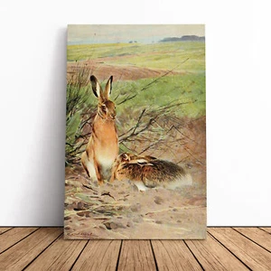 Vintage W Kuhnert Hare Canvas Wall Art Print Framed Picture Decor Living Room - Picture 1 of 7