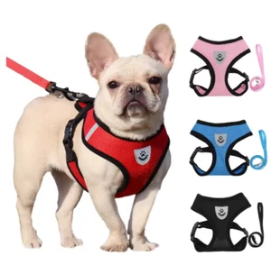 Small Dog Harness and Leash for Cat Puppy Harness French Bulldog Breathable - Picture 1 of 11