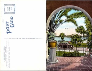 Postal de colección - UNA HERMOSA VISTA EN LA SOLEADA FLORIDA  - Imagen 1 de 1