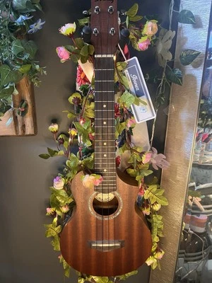 Концертная акустическая электрическая укулеле Ibanez UEW5E  - Изображение 1 из 4