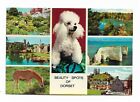 Beauty Spots of Dorset multi view postcard 1977