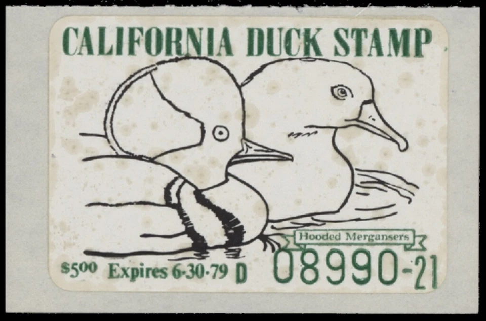 1978  California State Duck Stamp. Some gum bleed through as usual.   - Image 1 of 1