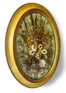 Antique Victorian convex glass dried flowers floral oval gilt frame C1800's - Picture 1 of 4
