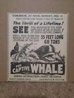 1930 The Captive Whale & Giant Octopus Newspaper Ad Port Utilities Charleston 