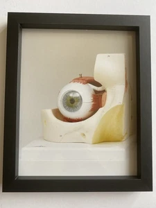 DAMIEN HIRST UNSIGNED PRINT FRAMED - Picture 1 of 6