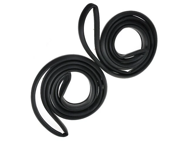 Sello de puerta delantera para Pontiac LeMans 1978-1981 sedán 4 puertas 1979 1980 MG911RK Foto 1 de 1