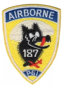 US ARMY PATCH 187th AIRBORNE INFANTRY REGIMENT PARAGLIDER INFANTRY RAKKASANS VTG - Bild 1 von 7