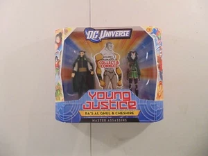 DC Universe Young Justice Ra's Al Guhl and Cheshire Amazo Builders - Picture 1 of 2