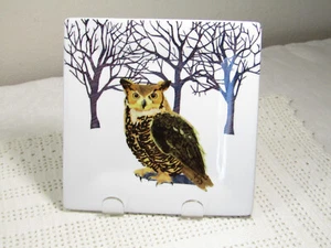 Two Can Art PPD Owl in Winter Artic Snow Appetizer Plate Porcelain 6” Square - Picture 1 of 4