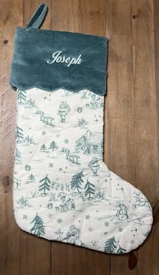 Medias Pottery Barn Kids Chris Loves Julia Toile Green Cuff Mono Joseph Foto 1 de 2