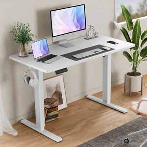 40" 48" 55" Home Office Electric Standing Desk Adjustable Height Stand Up Desks - Picture 1 of 43