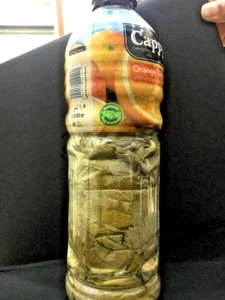 Green grape leaves pressed bottle weighing 647g Preserved food Holy Land Seafood - Picture 1 of 10