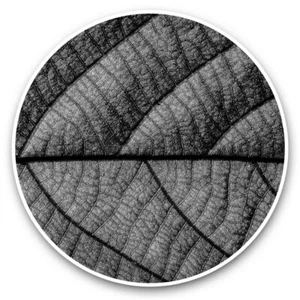 2 x Vinyl Stickers 25cm (bw) - Macro Shot Purple Leaf Nature  #37593 - Afbeelding 1 van 8