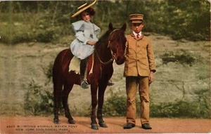 Antigua postal de Estados Unidos de colección Montar animales welch pony Parque Zoológico de Nueva York (662) - Imagen 1 de 2