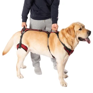 Mobility Dog Lift Harness Support Sling for Dog Dog Walking Sling Pet Rear Le - Picture 1 of 8
