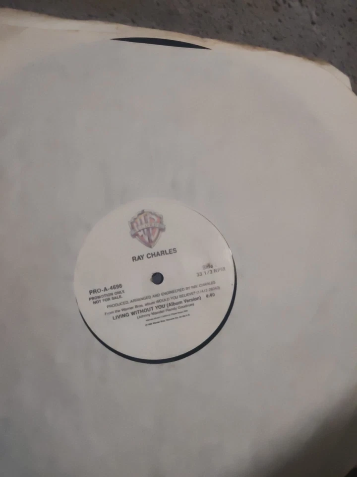 Ray Charles - Living Without You 12" Vinyl - Warner Bros Label - Image 1 of 1