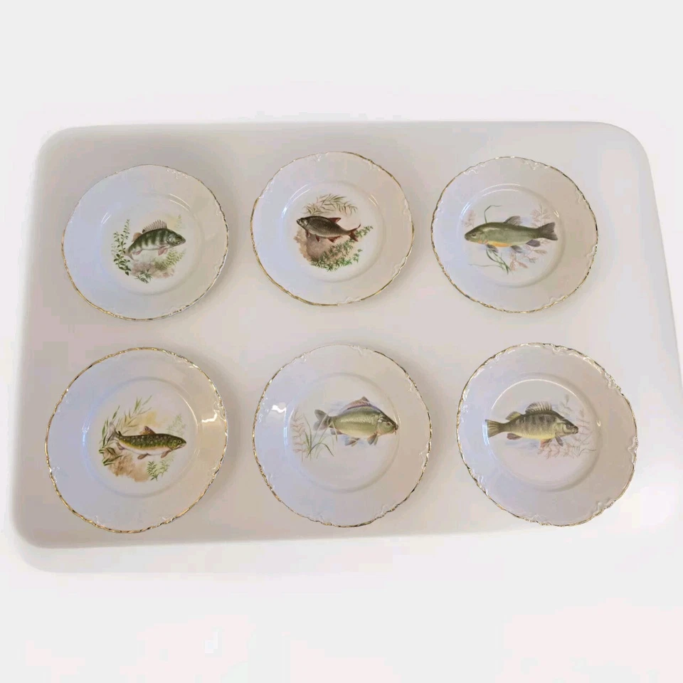 Hutschenreuther Fischteller 6 Stück 19,5 cm Fischdekor Goldrand - Bild 1 von 4