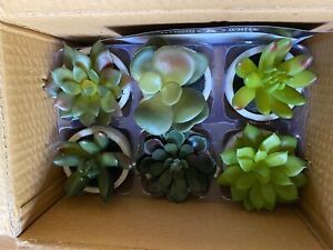 set of six, sweet faux, succulent plants in little "concrete" pots bnib