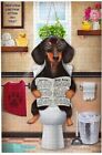 Dachshund Dog Sitting On Toilet Jigsaw Puzzles 500 Pieces for Adults 