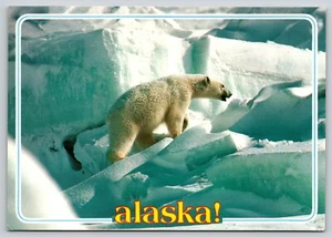 Postal Ártico Alaska Oso Polar Ursus maritimus - Imagen 1 de 2