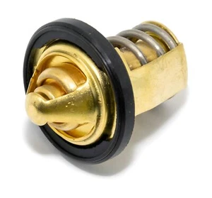 Termostato Aprilia para Aprilia RS 125 4T, 1A006046 - Imagen 1 de 4