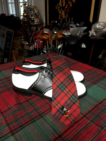 Walt Disney FootJoy NOS  Vintage Golf Shoe with Matching Ball & Tie BGZGF Cover