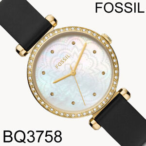 NIB Fossil BQ3758 Tillie Three-Hand Black Leather Watch Pearl Gold $129 Retail