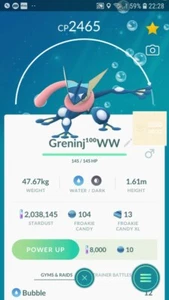 Pokemon Greninja ( Froakie Evolution ) Go - Picture 1 of 2