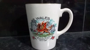 The Investiture Of HRH Prince Of Wales Caernarvon July 1st 1969 Royal Mug Ex Con - Picture 1 of 4