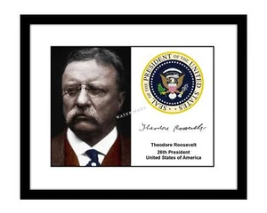 Theodore Roosevelt 8x10 Signed photo print president seal Teddy TR autographed - Picture 1 of 2