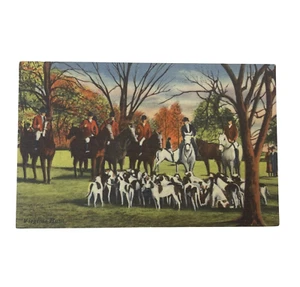 Reiter Fuchs Jagd Leinen Postkarte 40er 50er Jahre Pferdehunde Virginia Jagd - Bild 1 von 2