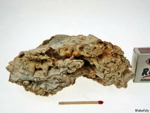 KS117 Achatröhren Formation 380 Gr. Heilstein Formation Madagaskar - Bild 1 von 6