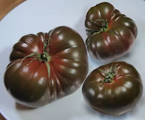 50 Samen Tomate Black Krim Schwarze Krimtomate Tomatensamen - Bild 1 von 3