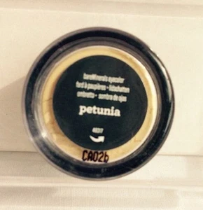 bareMinerals PETUNIA EYECOLOR a lemon chiffon shade NEW & SEALED Small - Picture 1 of 3