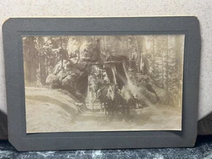 Original Foto - Wawona Tunnelbaum. John R. Putnam - Yosemite, Kalifornien - Bild 1 von 6